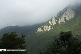 Caspian Hyrcanian Mixed Forests in Northern Iran 17.jpg