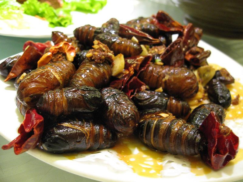 ملف:Silkworm pupae to eat.jpg