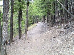 Walking/biking trail between downtown and Mount Helena's peak