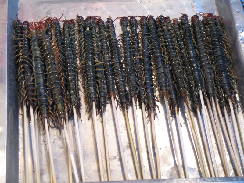 ملف:Centipedes as street food.jpg