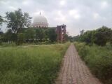 Grass fields at Islamic university kushtia - 21.jpg