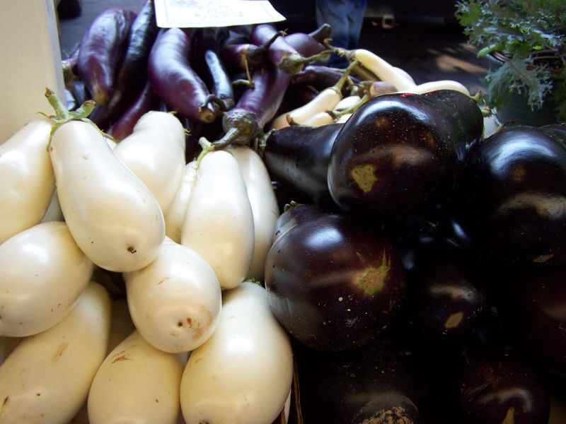 ملف:Three Types of Eggplant.jpg