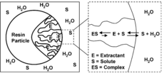 Schematic depiction of the extraction principle using a solvent impregnated resin
