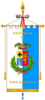 علم Province of Vibo Valentia