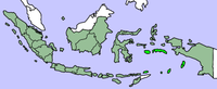 IndonesiaMaluku.png