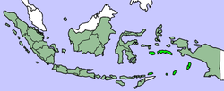 موقع مالوكو في إندونسيا
