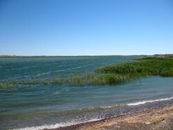 منظر سواحل بحيرة بلخاش، المسطح المائي الرئيسي بالحوض