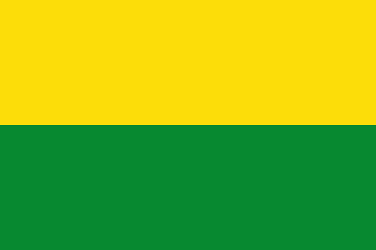 ملف:Flag of Vichada.svg