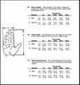 Static adult human physical characteristics of the hand.