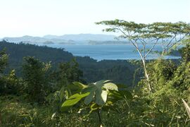 View over northwest coast of Palawan