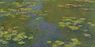 Le bassin aux nymphéas - Claude Monet.jpg