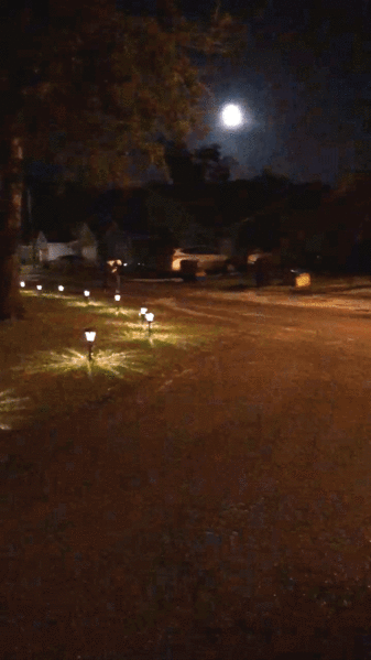 ملف:Naruto Run.gif