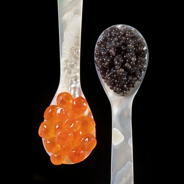 ملف:Caviar spoons.jpg