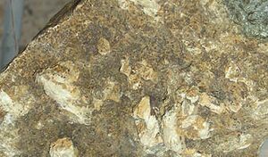 Mineraly.sk - hydroxylapatit.jpg